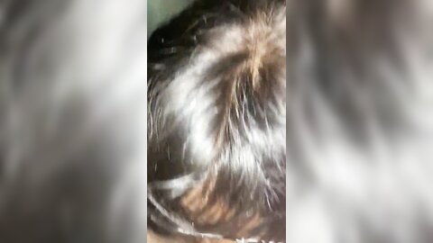 LoveHomePorn Asian A993614230