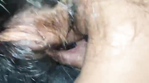 Blowjob  Cum In Mouth Public Cinema Film Hall Box අවහිරතා මැද ෆිල්ම් හ