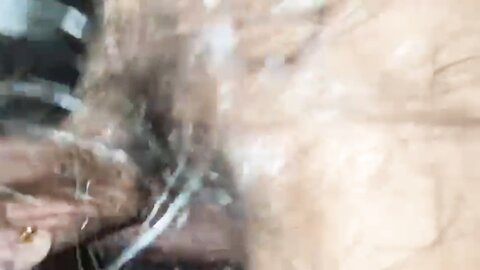 Blowjob  Cum In Mouth Public Cinema Film Hall Box අවහිරතා මැද ෆිල්ම් හ