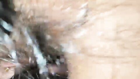 Blowjob  Cum In Mouth Public Cinema Film Hall Box අවහිරතා මැද ෆිල්ම් හ