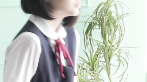 PYPY-009B