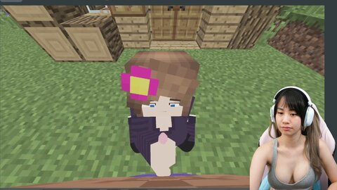 This Is Why I Stopped Playing Minecraft