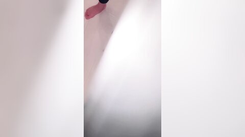 4537071
