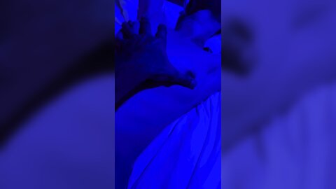 Daddy Gave Me A Full Body Massage