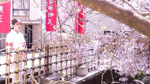 [Photobook] 2024.04.15 【デジタル限定】福留光帆写真集「尼崎のダイヤモンド」 週プレ PHOTO BOOK