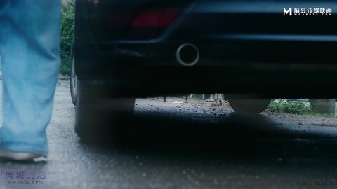 NHAV-039约炮水嫩傲娇女主播