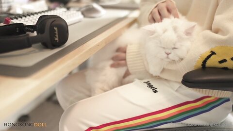 Vlog长片系列 「一日女友的漂亮姐姐」中篇 她是谁 100分钟 超长完整版