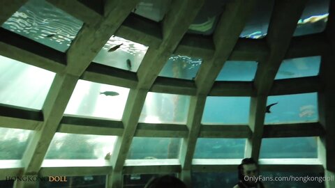 Vlog长片系列 「一日女友的漂亮姐姐」中篇 她是谁 100分钟 超长完整版