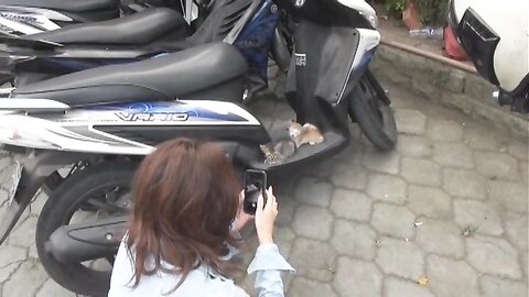 LPDD-1073 Mai Kamuro 神室舞衣 – 惑女～Madonna～