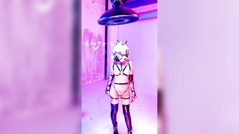 爆机少女喵小吉 - 赛博朋克-超梦 Video (3)