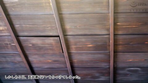 AMCP-129【アニメ】屋根裏DVD ～中出し専用人妻物件 入居者募集中～ The Motion Anime