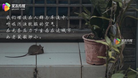 GDCM-043单身狗的复仇-白允儿