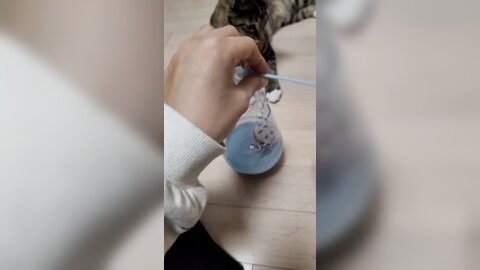 21-10-05 1445329035425239042 p0