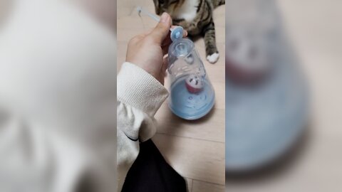 21-10-05 1445329035425239042 p0