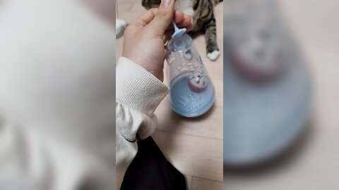 21-10-05 1445329035425239042 p0