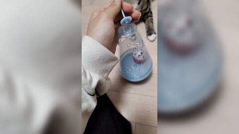 21-10-05 1445329035425239042 p0