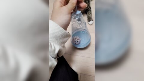 21-10-05 1445329035425239042 p0