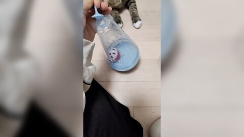 21-10-05 1445329035425239042 p0