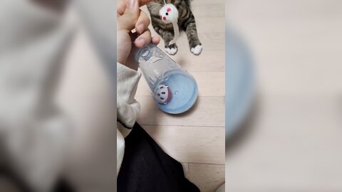 21-10-05 1445329035425239042 p0