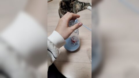 21-10-05 1445329035425239042 p0