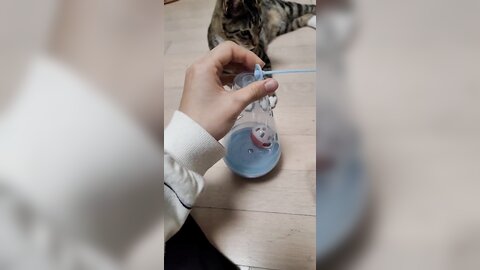 21-10-05 1445329035425239042 p0