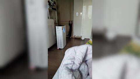 22-02-21 1495654800444502020 p0