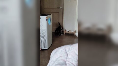 22-02-21 1495654800444502020 p0