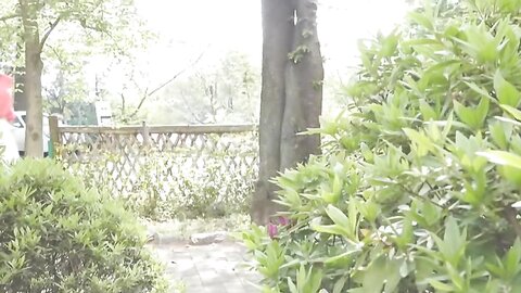 MIST-1021 Rin Karasawa 唐沢りん – -Sunny- – Together forever -晴れ-　ずっとふたりで。
