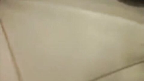 Amateur Asian Porn 3858196