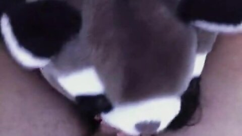 Amateur Asian Porn 3888196
