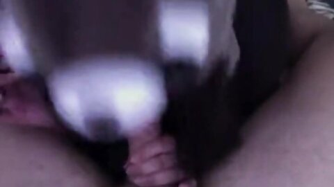 Amateur Asian Porn 3888196