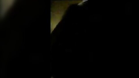 Amateur Asian Porn 3897796