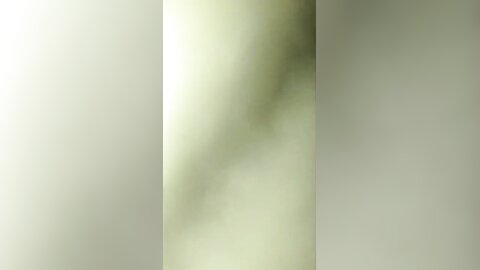 Amateur Asian Porn 3778996