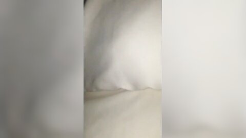 Amateur Asian Porn 3778996