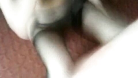 Amateur Asian Porn 3800796
