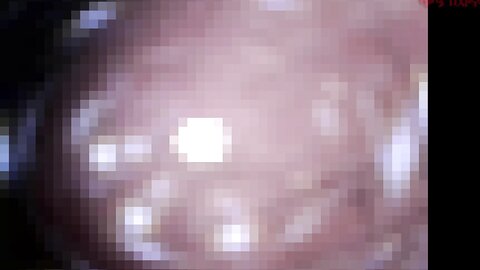 2175534-YUZU155-TOKUTEN [Uncensored]