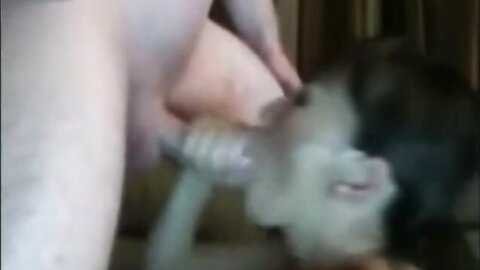 Amateur Asian Porn 3833596