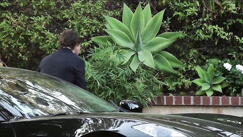 Undercover Dangerous  Clickup