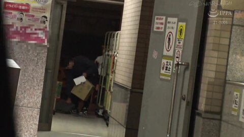 NTB-979