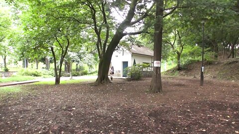 A Curious Japanese Girl Teamskeet X Manko88