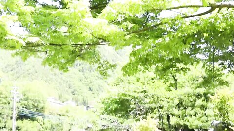 MBR-BN045 Yume Gokochi SP1 湯女ごこち SP1 BD