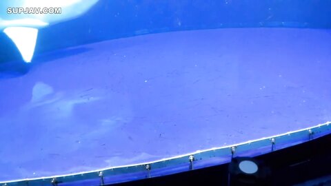 4578043 81% OFF!**81% OFF until 12\2*[face and Nakadashi]****zynxzjo* An acquaintance of mine, Immorto, came to Tokyo and said he was having trouble making ends meet, so I negotiated a lot and he let me film