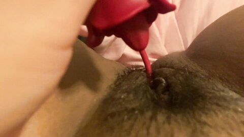 Teen Asian Girl Plays With Her Pussy Using Her New Rose Toy