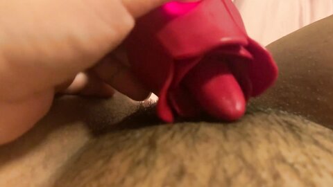 Teen Asian Girl Plays With Her Pussy Using Her New Rose Toy