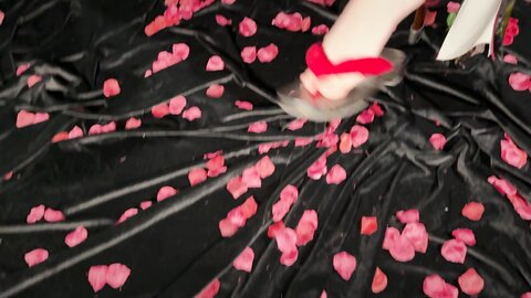 11月视频 (10)