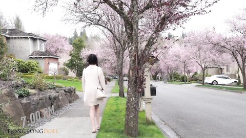 Sweet Chinese Escort 2 Love Story Under The Cherry Blossom Trees