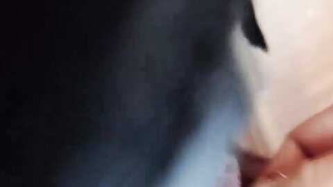 4583674 [no]****zynxzjo* A young wife with a superb body is filmed being cuckolded to pay off her debts. [high quality with benefits].