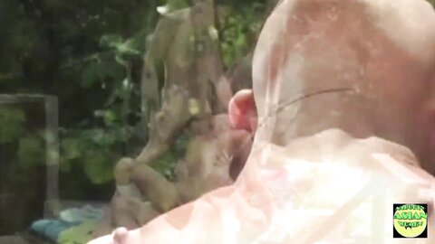 Asian Nette Cutie Veronica Lynn Gets By Two Handsome Guys By The Pool