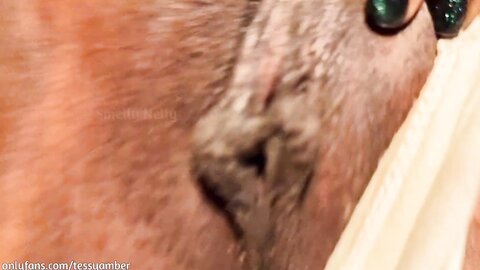 She Removed Her Dirty Panty After 5 Days I Enjoyed Her Unwashed Pussy