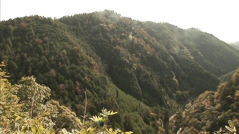 SVBD-002 Misako Yasuda 安田美沙子 – One day in KYOTO ～ハイビジョン京都紀行～ Blu-ray